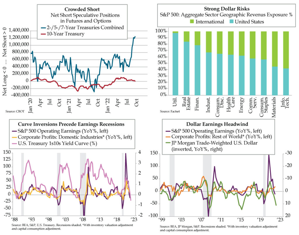 Shorty Quill Intelligence