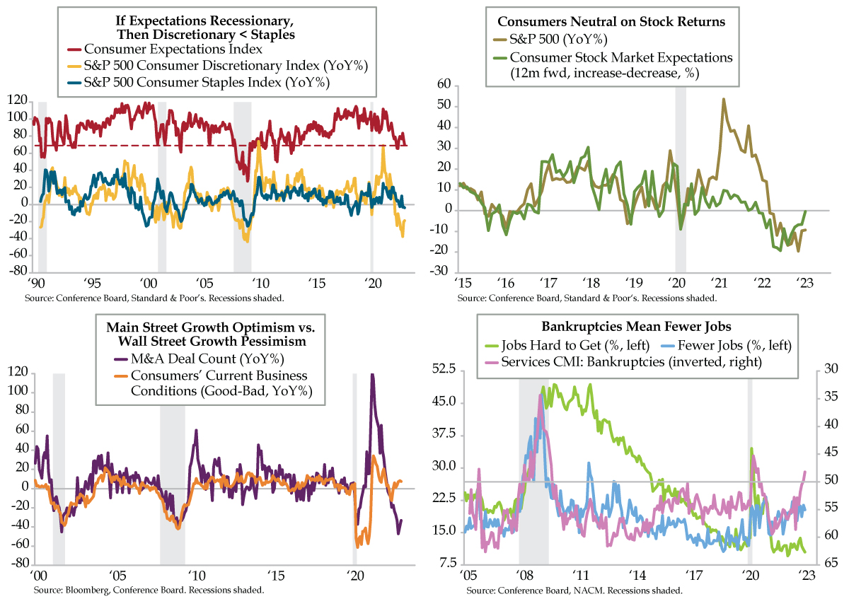 Consumer Mind Incon Blind Spots in the Consumer Complex - QI Research